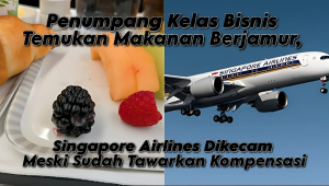 Temukan Makanan Berjamur